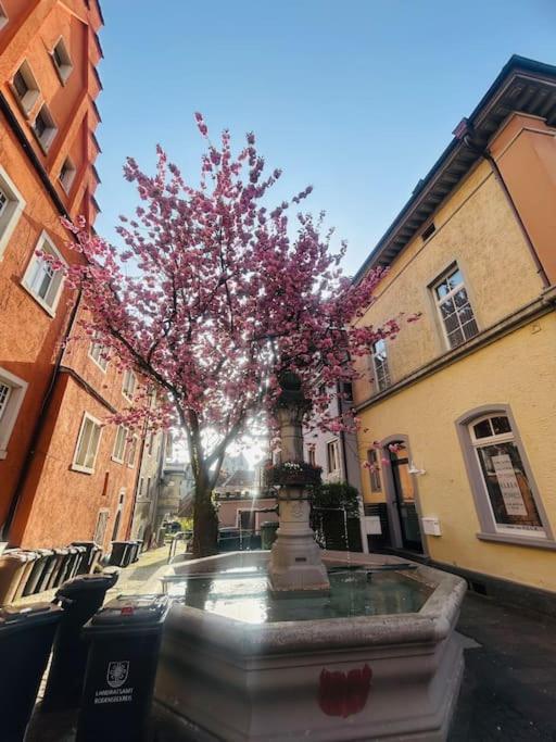 Ferienwohnung Ferienunterkunft Mit Sonnenterrasse Meersburg Exterior foto